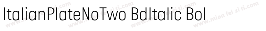 ItalianPlateNoTwo BdItalic Bold It字体转换